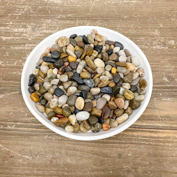 Exotic Pebbles - Polished Mixed Gravel - 5 lb. - Hicks Nurseries