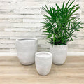 Fiberclay Mixed Stripe Planter - White - 14-inch - Hicks Nurseries