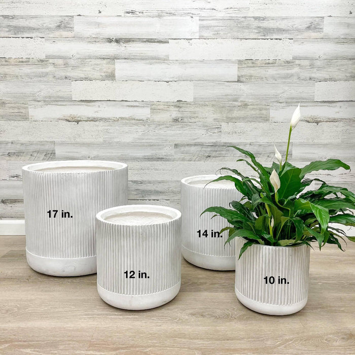 Fiberclay Ribbed Cylinder - White - 10-inch - Hicks Nurseries