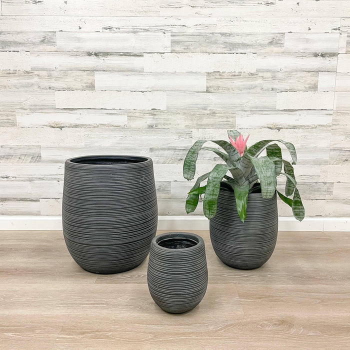 Fiberclay Striped Planter -  Black - 13-inch - Hicks Nurseries