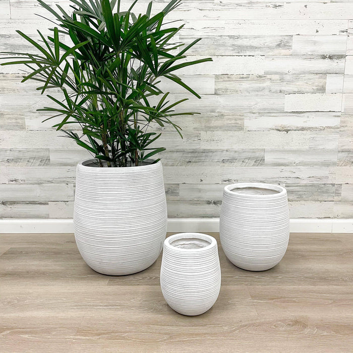Fiberclay Striped Planter - White - 18-inch - Hicks Nurseries