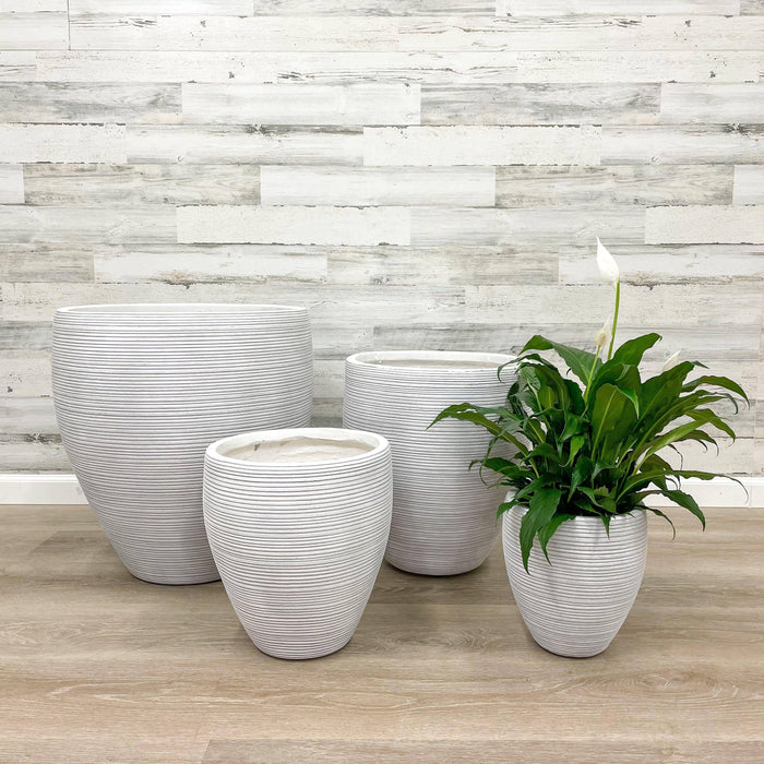 Fiberclay Taper Striped Planter - White - 10-inch - Hicks Nurseries