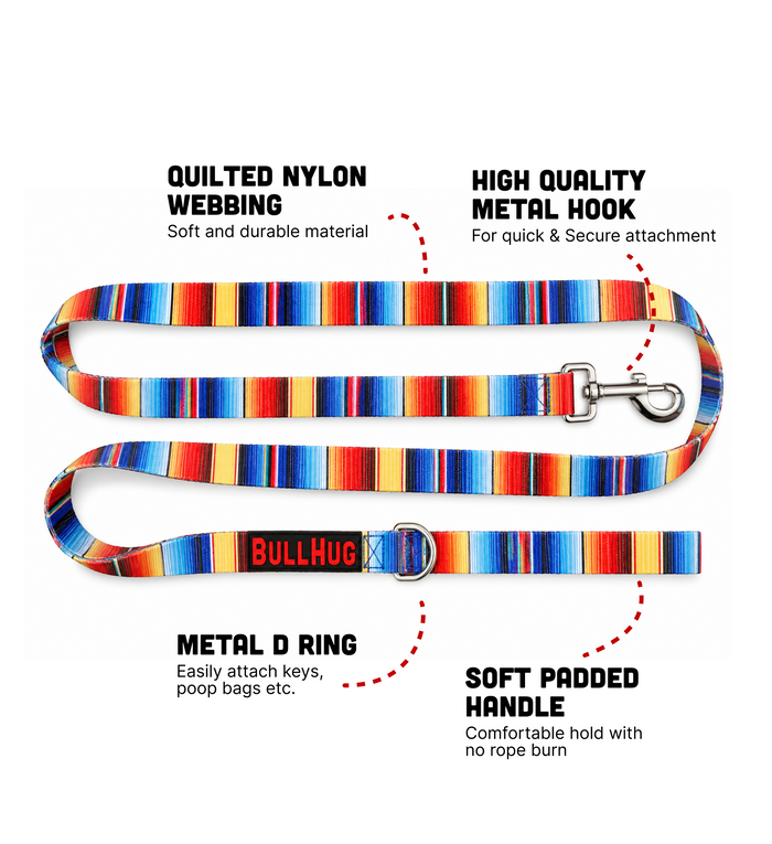 Fiesta BullHug 6ft Dog Leash – Padded Handle