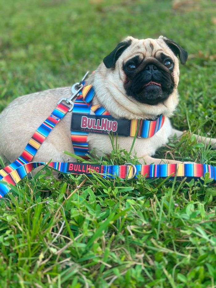 Fiesta BullHug Dog Harness – Non-Choking, Adjustable