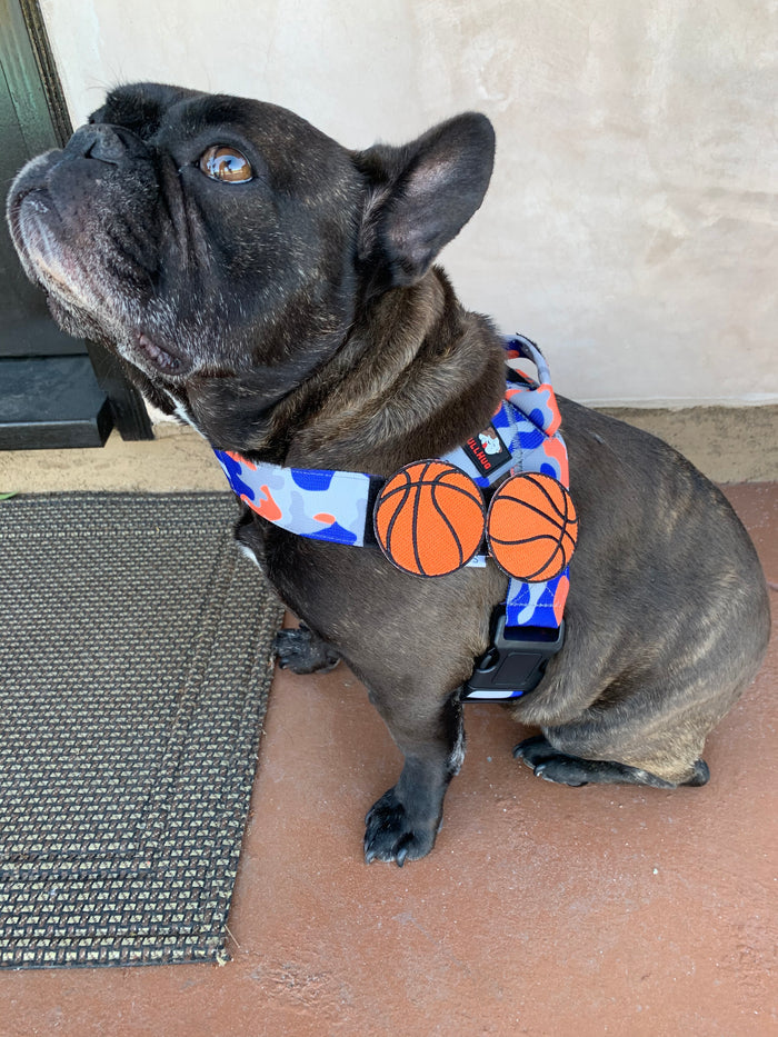 Flair Patch-Basketballs - thebullhug.com