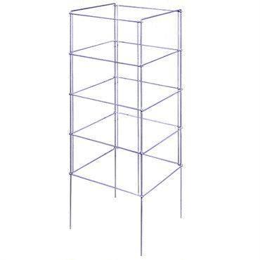 Folding Tomato Cage - Square - 56-inches - Hicks Nurseries