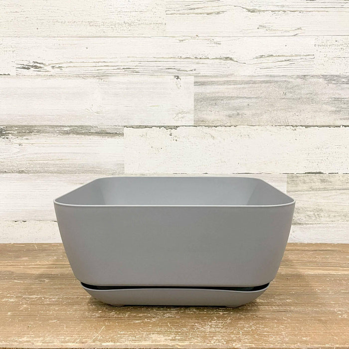 Garden Planter Grey - 12-inches - Hicks Nurseries