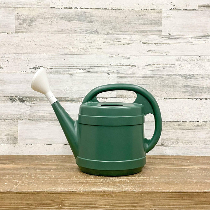 Green Watering Can - 2gal. - Hicks Nurseries