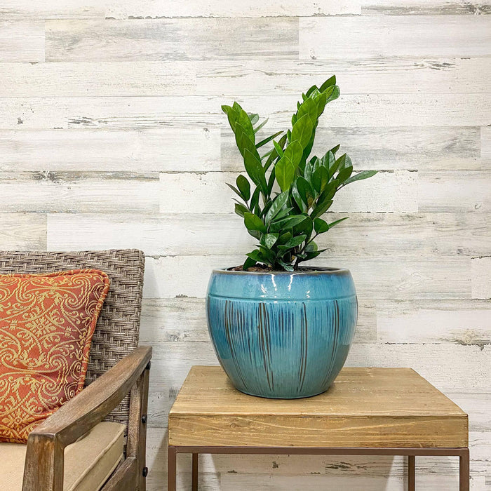 Halona Planter - Blue/Green - 12-inches - Hicks Nurseries
