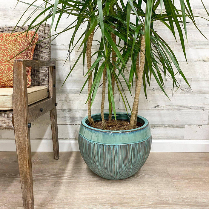 Halona Planter - Blue/Green - 16-inches - Hicks Nurseries