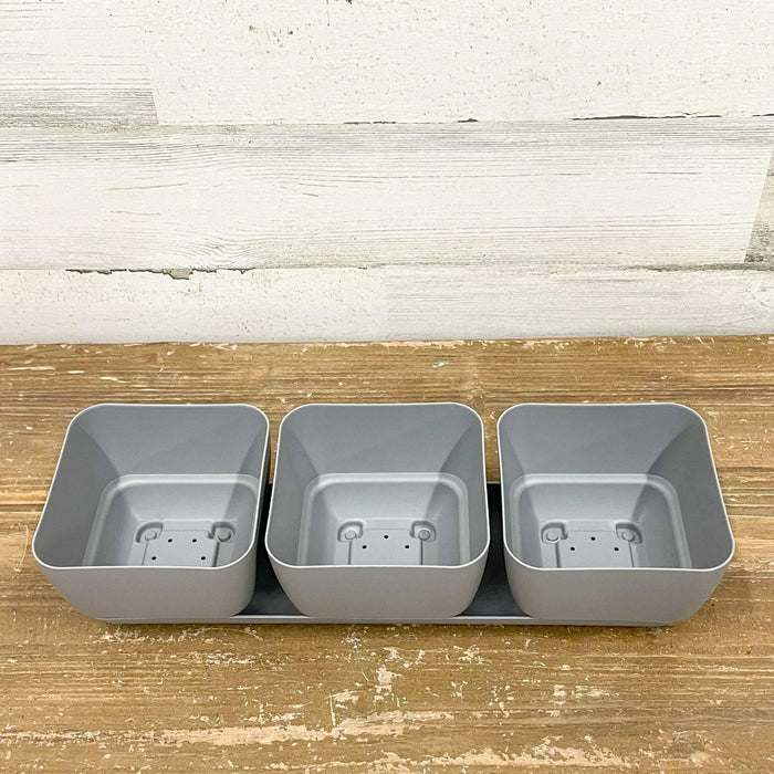 Herb Trio Planter Grey - 4-inches - Hicks Nurseries