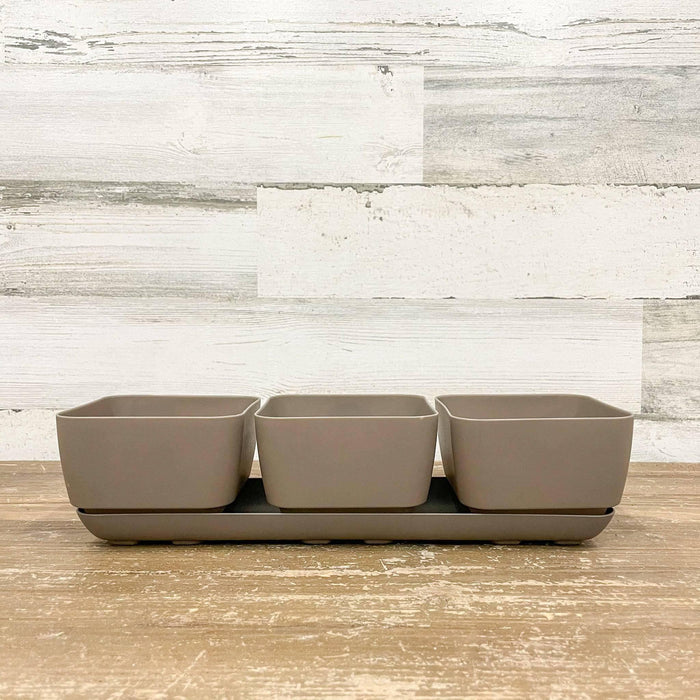 Herb Trio Planter Taupe - 4-inches - Hicks Nurseries