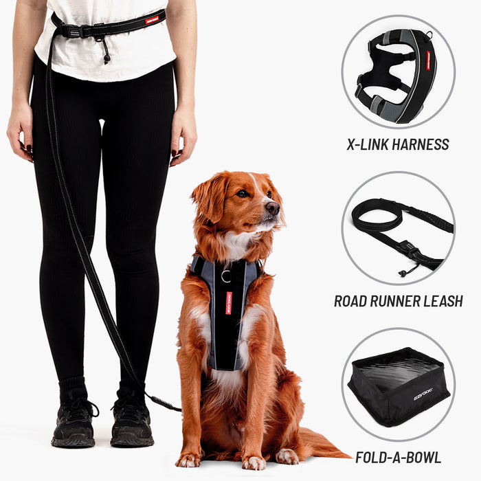 Person holding a dog with X-Link harness, Road Runner leash, and Fold-A-Bowl displayed.