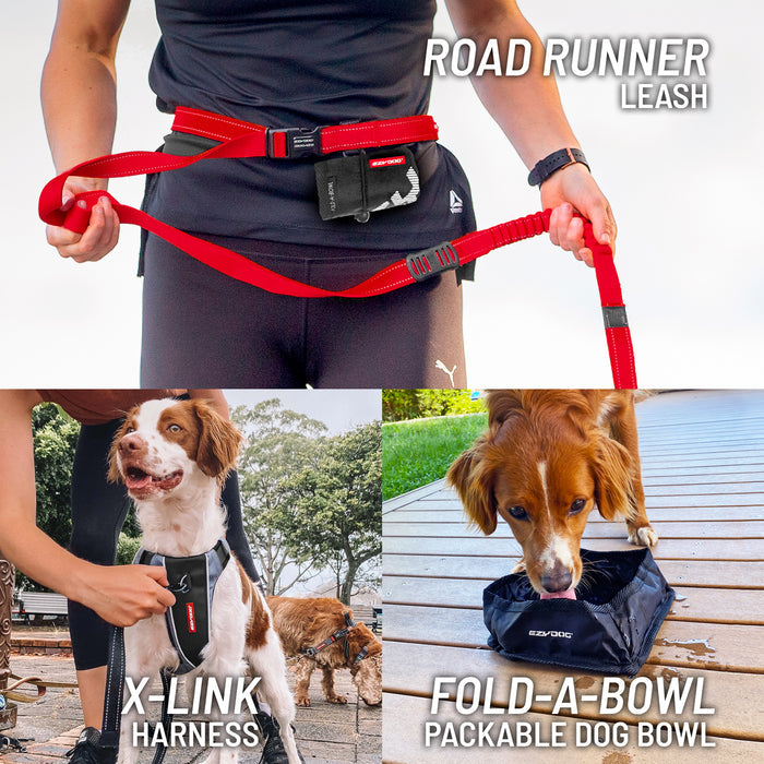 Dog accessories including a red leash, X-Link harness, and Fold-A-Bowl on a white background.