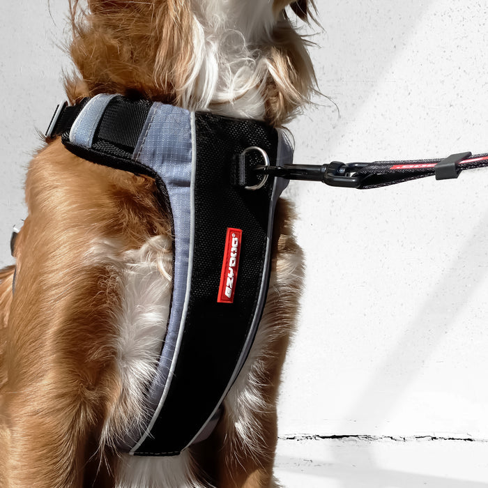 Dog wearing a black and gray harness with a visible brand logo on a white background