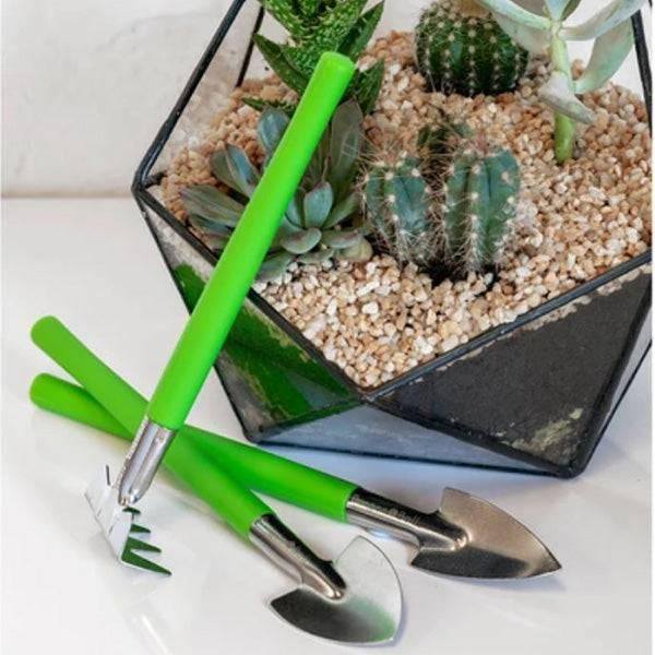 Houseplant & Terrarium Tool Set - Hicks Nurseries