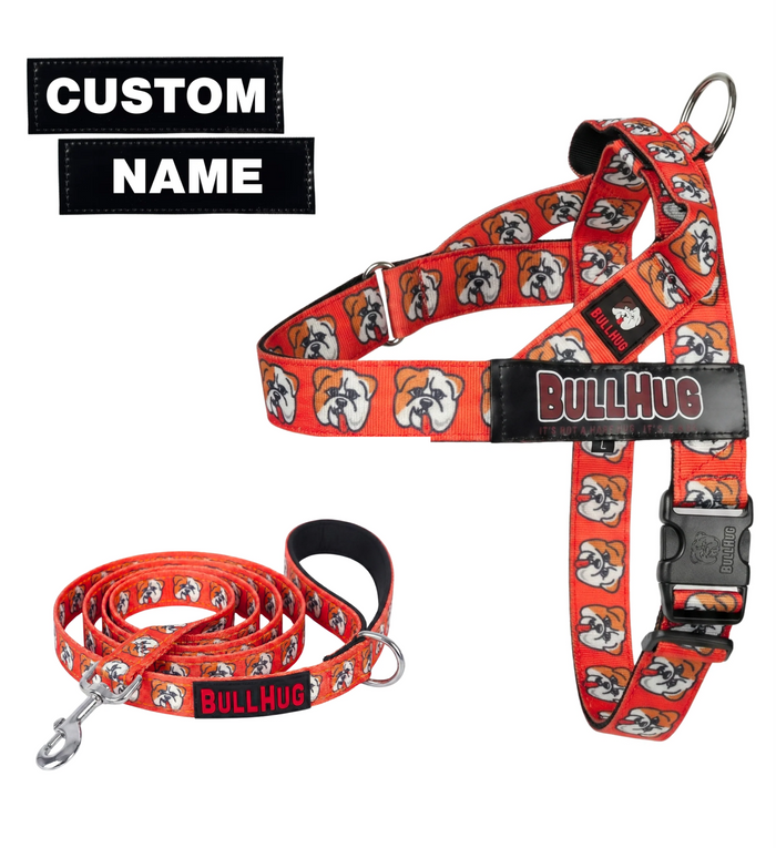 Hugs For Hope BullHug Dog Harness & Leash Combo