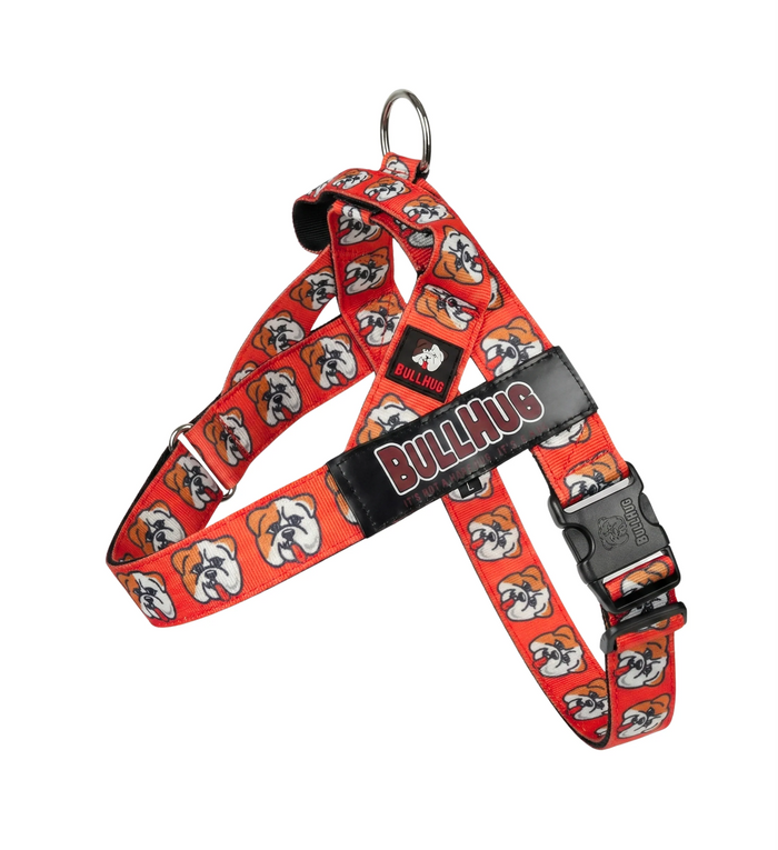 Hugs For Hope BullHug Dog Harness & Leash Combo