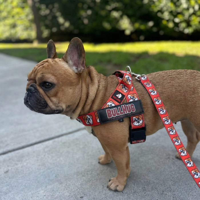 Hugs For Hope BullHug Dog Harness & Leash Combo