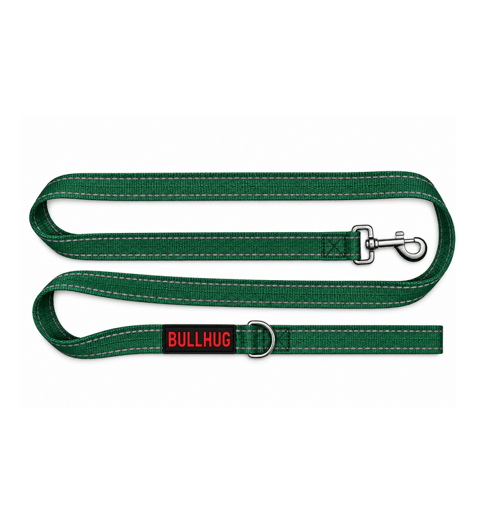 Hunter Green BullHug 6ft Dog Leash – Padded Handle
