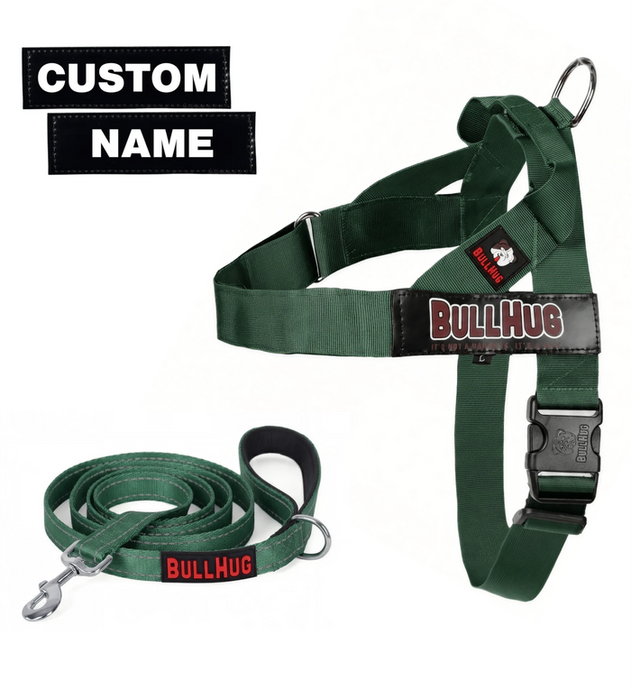 Hunter Green BullHug Dog Harness & Leash Combo
