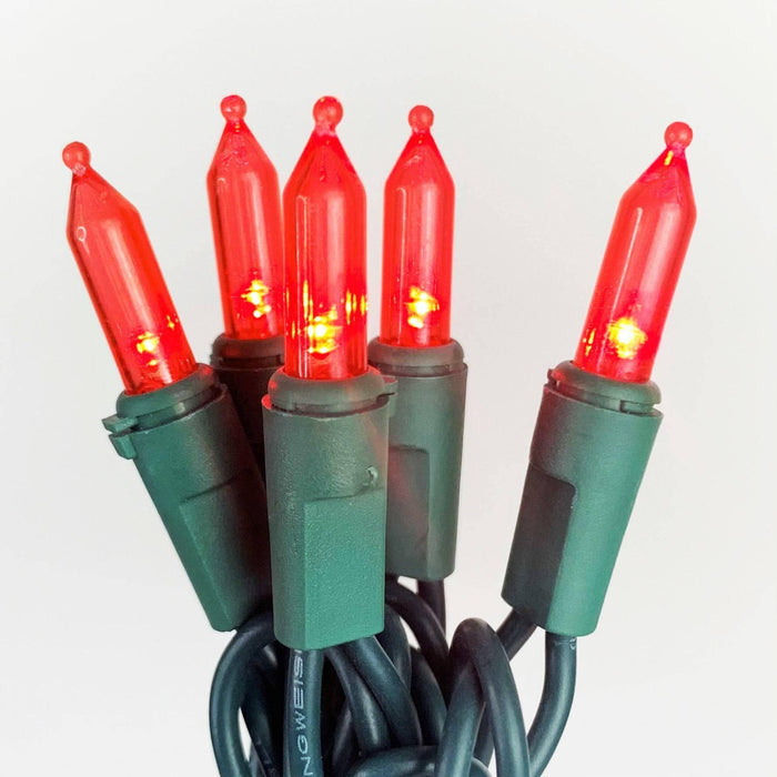 Incandescent Style LED 100 ct. String Lights Red - Hicks Nurseries