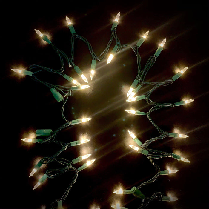 Incandescent Style LED 100 ct. String Lights Warm White - Hicks Nurseries