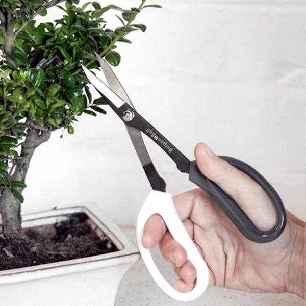 Japanese Pruning Scissors - Hicks Nurseries