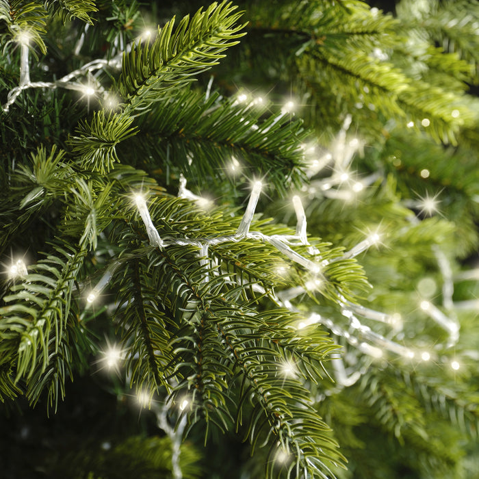 Close-up of pine branches decorated with LED 1000 ct. Compact String Lights Twinkle Warm White by Available for Pick-Up & Delivery, creating a festive, sparkling atmosphere.
