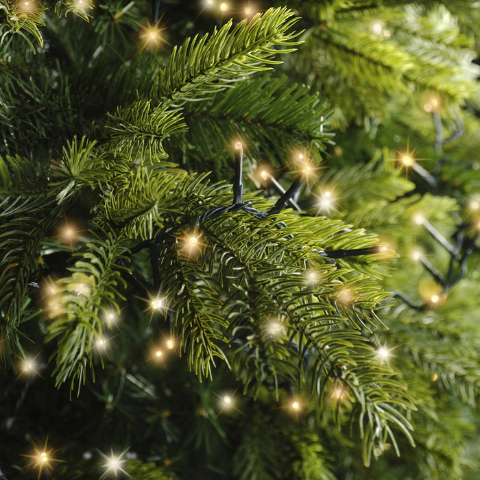 Close-up of pine branches decorated with LED 1000 ct. Compact String Lights in warm white and cool white by Available for Pick-Up & Delivery, creating a festive and cozy holiday atmosphere.