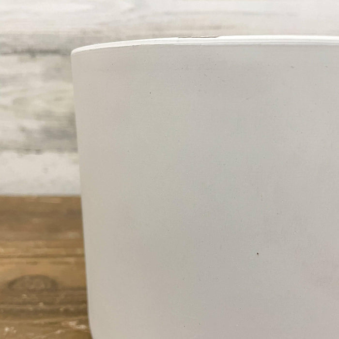 Lena Cylinder Pot - White - 6-inches - Hicks Nurseries