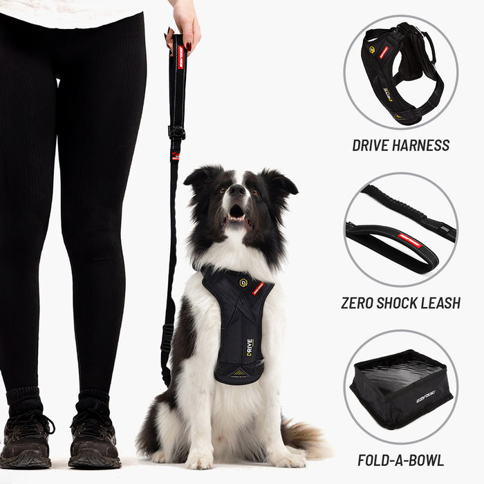 Dog wearing a harness with a leash, and images of a drive harness, zero shock leash, and fold-a-bowl on a white background.