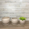 Luna Sphere Clay - White - 8-inch Pot - Hicks Nurseries