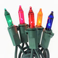 Mini 100 ct. String Lights Multi-Colored - Hicks Nurseries