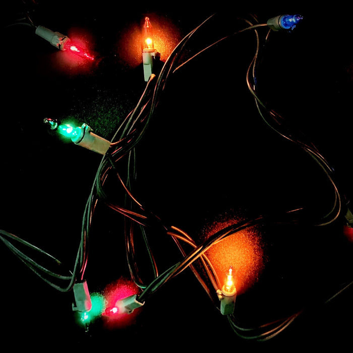 Mini 100 ct. String Lights Multi-Colored - Hicks Nurseries