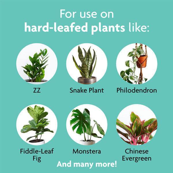 Miracle-Gro Leaf Shine - Hicks Nurseries