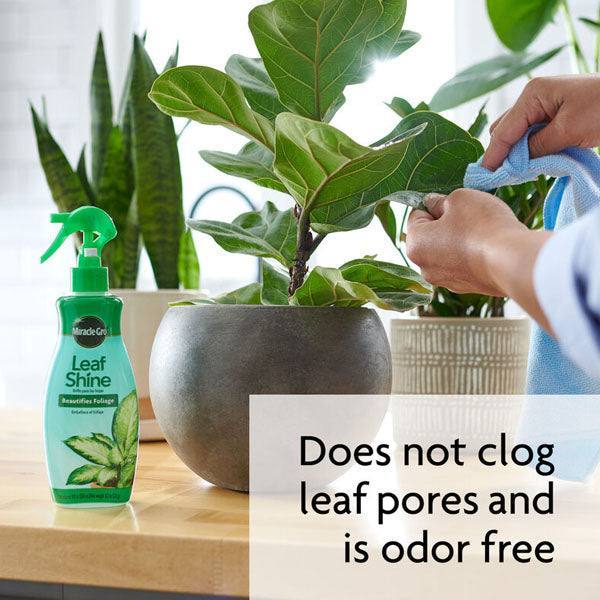 Miracle-Gro Leaf Shine - Hicks Nurseries