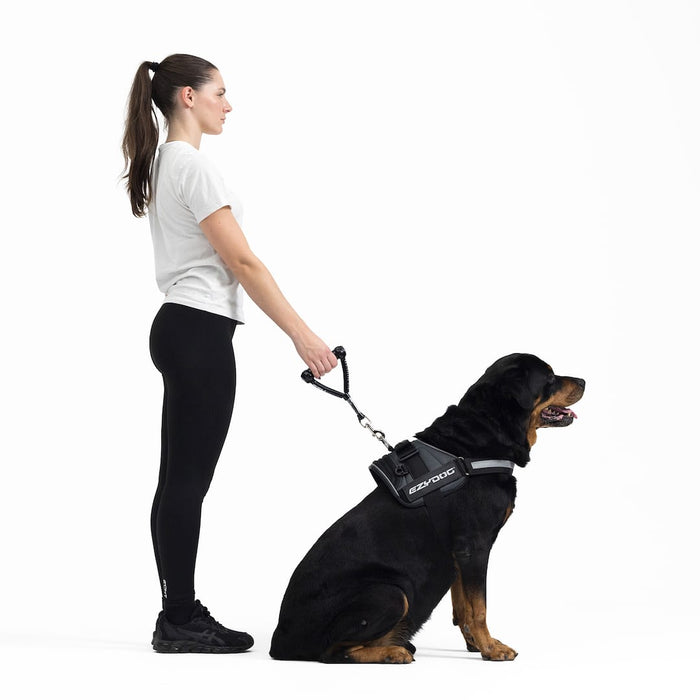 Woman walking a large dog on a leash with a visible brand logo.