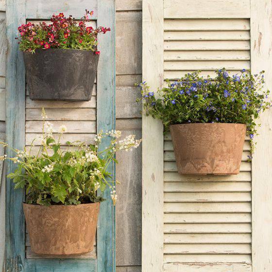 Napa Wall Pot - Black - 9.5-inches - Hicks Nurseries