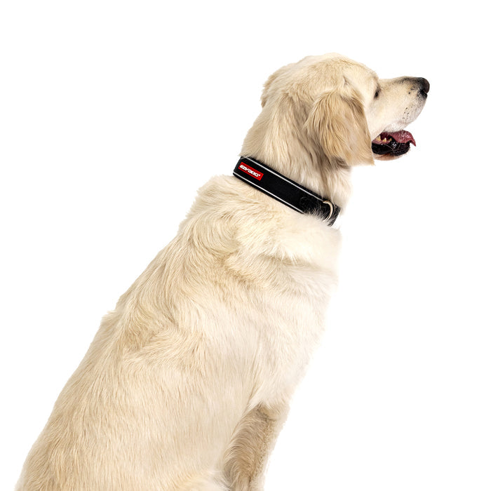 Dog wearing a black collar with a red logo on a white background.