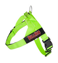 Neon Green BullHug Dog Harness – Non-Choking, Adjustable