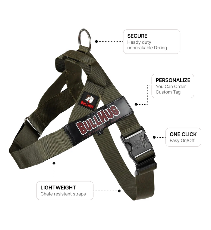 Olive Green BullHug Dog Harness – Non-Choking, Adjustable