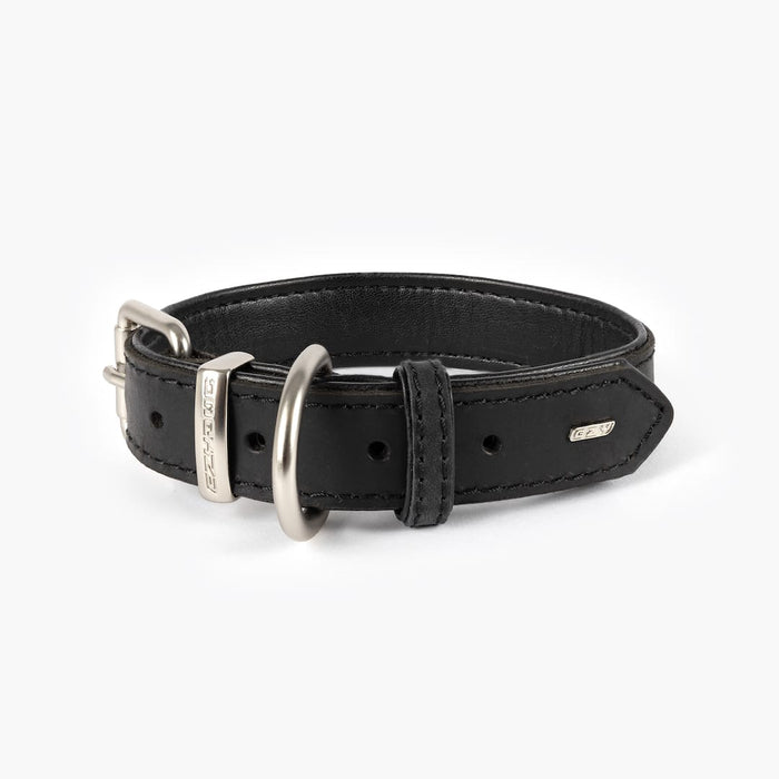 A black full grain leather dog collar with padded leather lining and brushed metal hardware, featuring a gold tongue buckle.