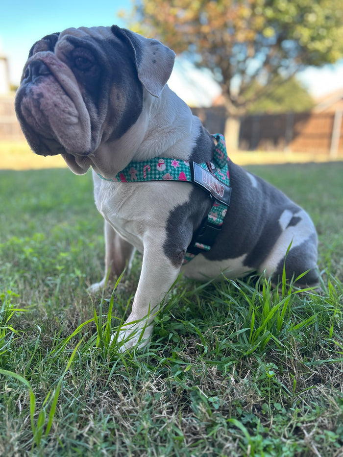 Paw-liday Cheer BullHug Dog Harness – Non-Choking, Adjustable