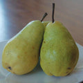 Two Bartlett pears from Pickup & Local Delivery Only, known for their sweet flavor, are placed side by side on a white plate with a blurred brown background.