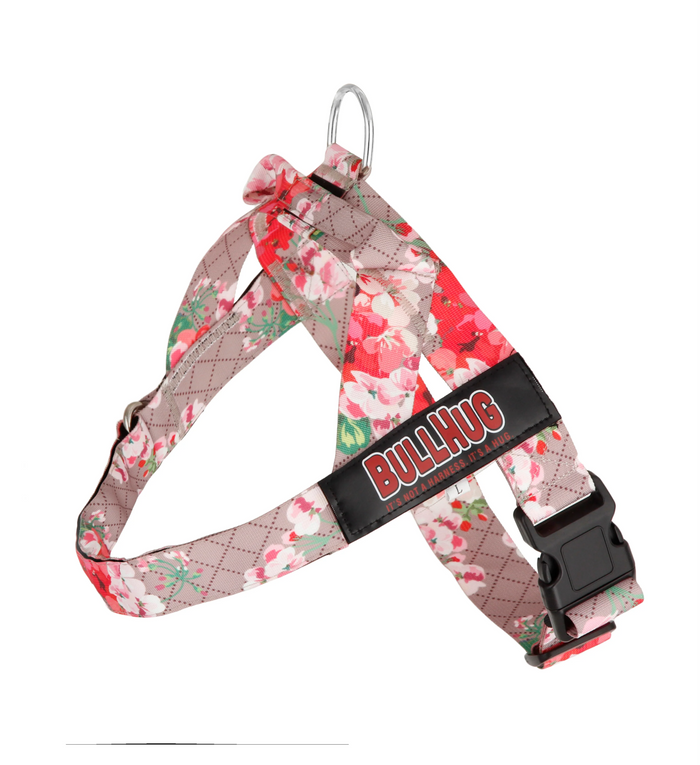 Pink Floral BullHug Dog Harness & Leash Combo