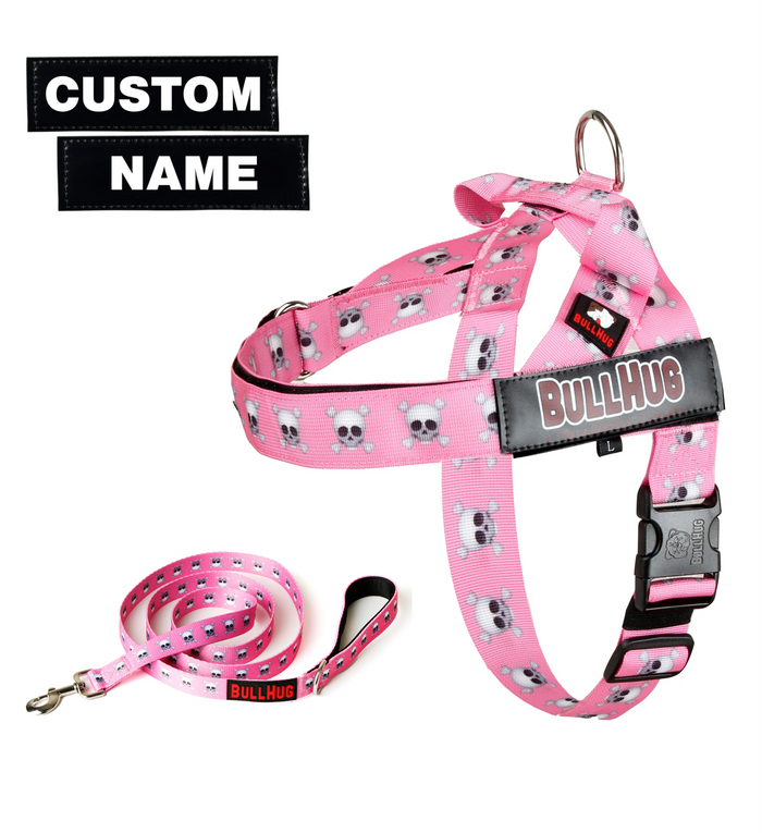 Pink Skulls BullHug Dog Harness & Leash Combo