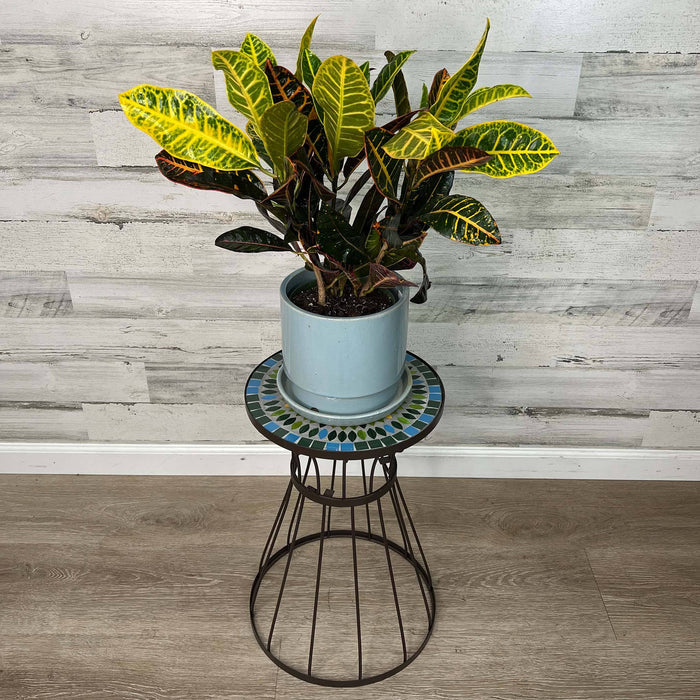 A potted plant with green and yellow leaves is displayed on the All Delivery Options Plant Stand—Brown Metal with Mosaic Glass Design, 19.5-inches—set against a light wood wall and floor.