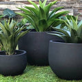 Three Pick-Up & Local Delivery Only 23-inch Rustic Round Black Planters with green agave sit on grass, adding rustic elegance to the area before a stone wall and greenery—perfect for indoor or outdoor use.