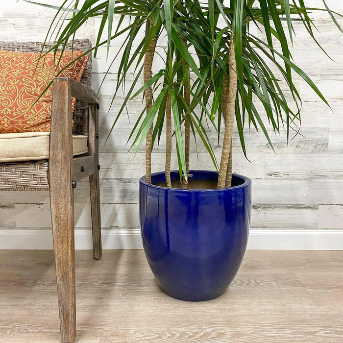 Procida Planter - Blue - 15-inches - Hicks Nurseries